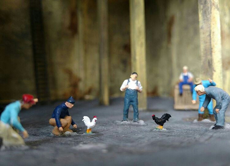 temp_regrann_1462805611001